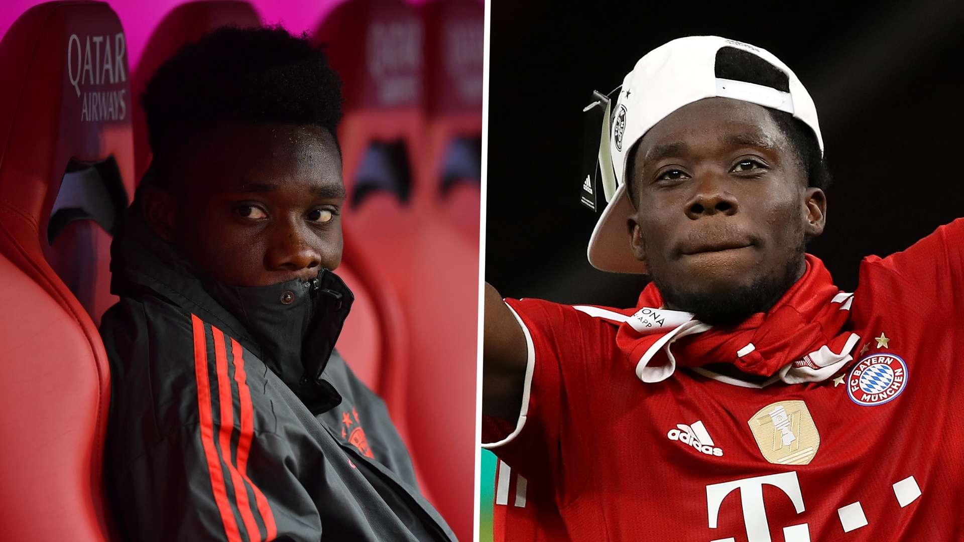 他们不仅能 他们不仅能