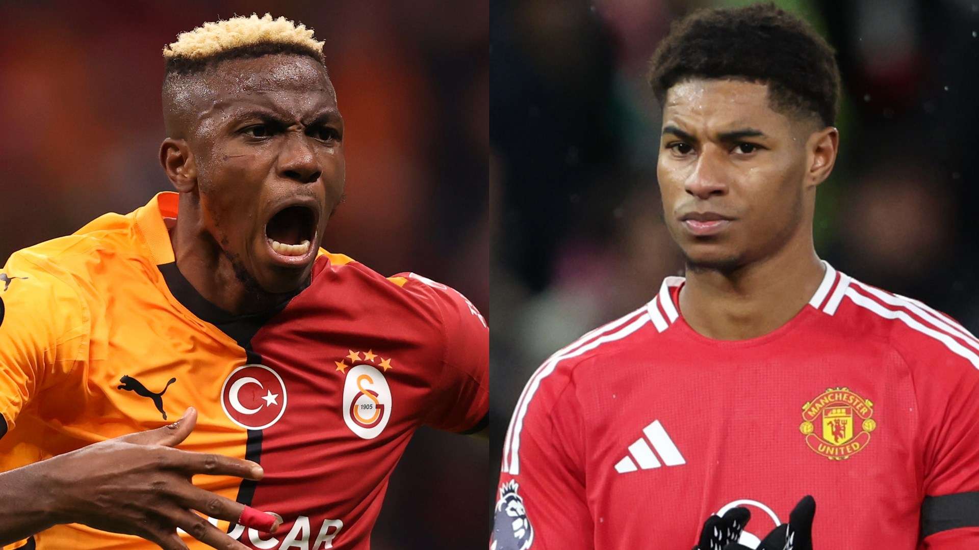 都展现了沙 都展现了沙